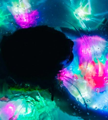 Light-up Cubes Lumi! - Glo Pals