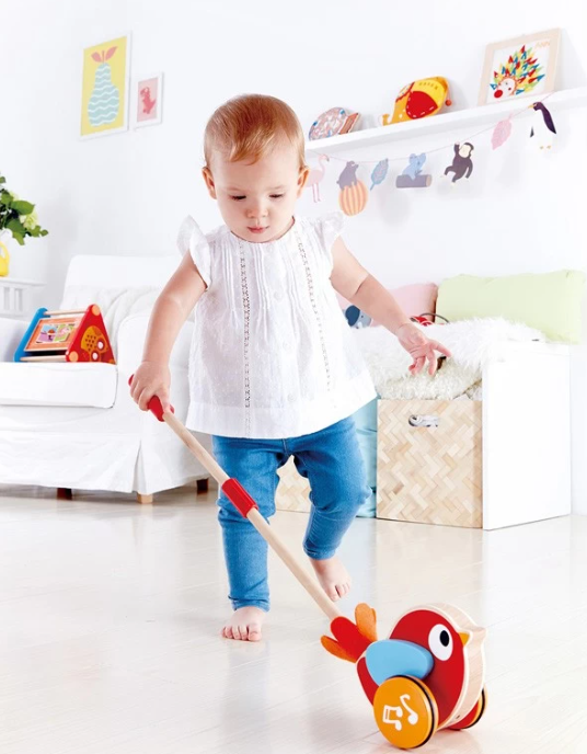 Lilly Musical Push Along - Hape