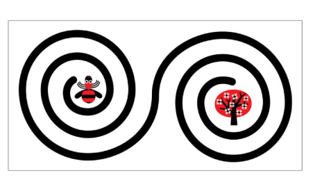 ¡Sígueme! - Baby Montessori