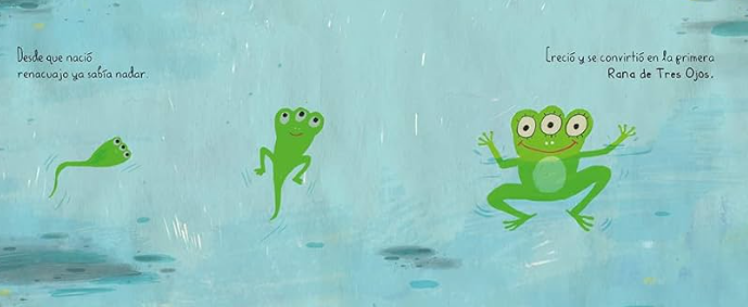 Rana De Tres Ojos - Apila