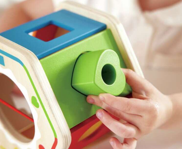 Wooden Wonder Shape Sorter - Hape