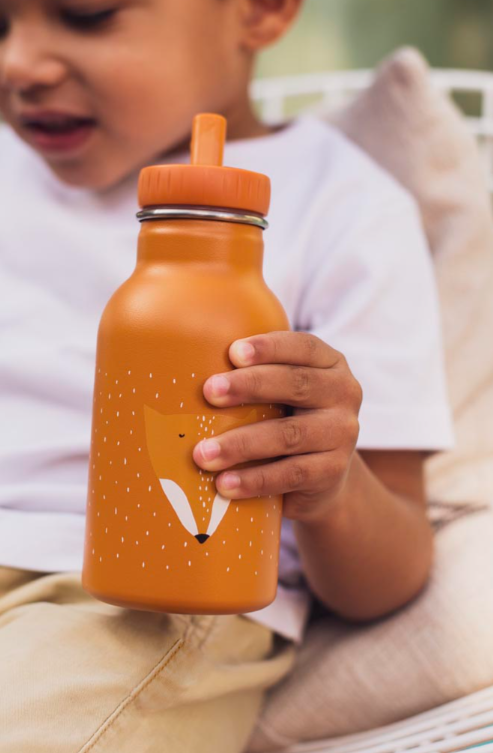 Botella Kids 350ml Mr. Fox - Trixie