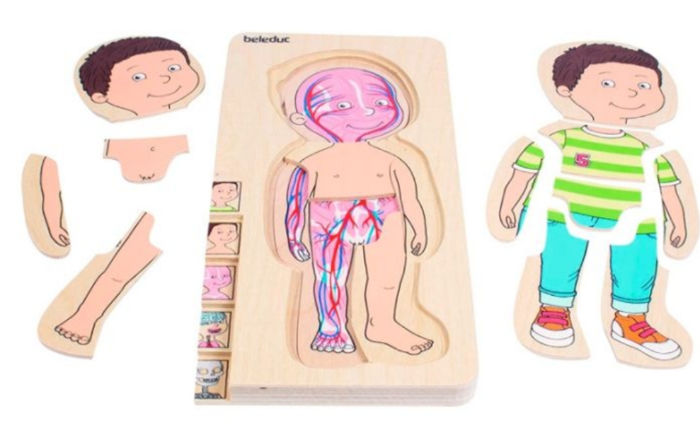 Puzzle Anatomía Masculina 5 en 1 - Beleduc