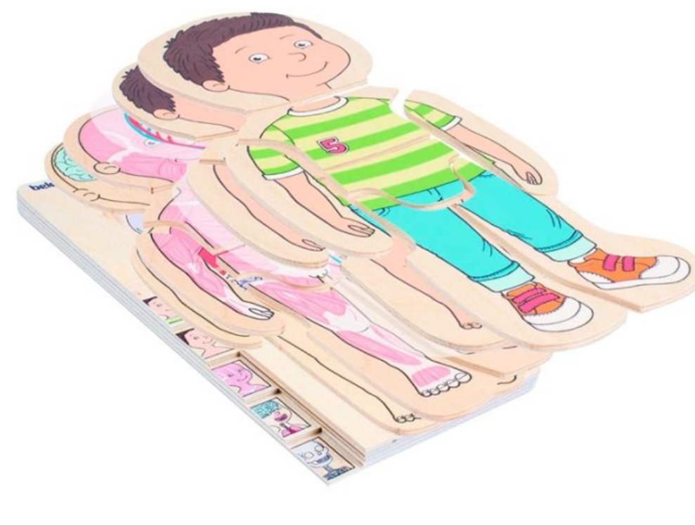 Puzzle Anatomía Masculina 5 en 1 - Beleduc