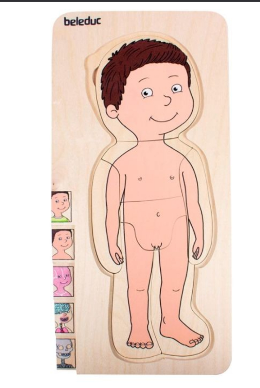 Puzzle Anatomía Masculina 5 en 1 - Beleduc