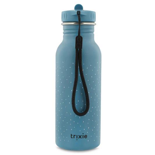 Botella Acero Inox 500ml Mr. Triceratops - Trixie