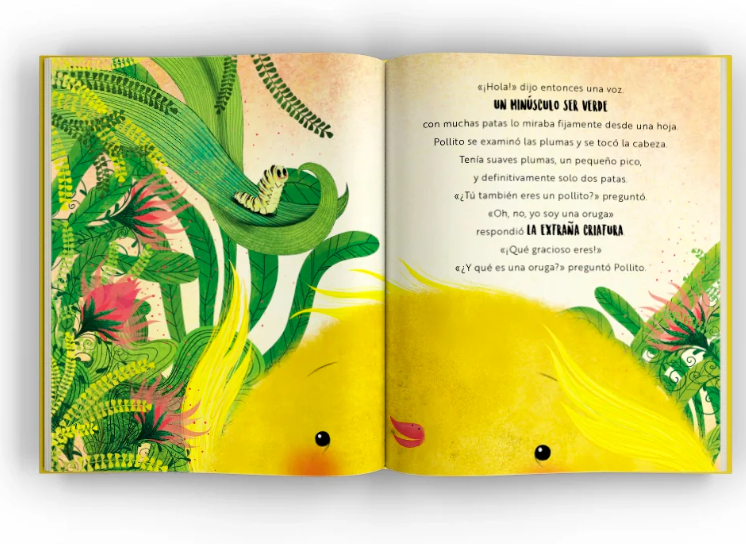 El Pollito Feliz - Sassi