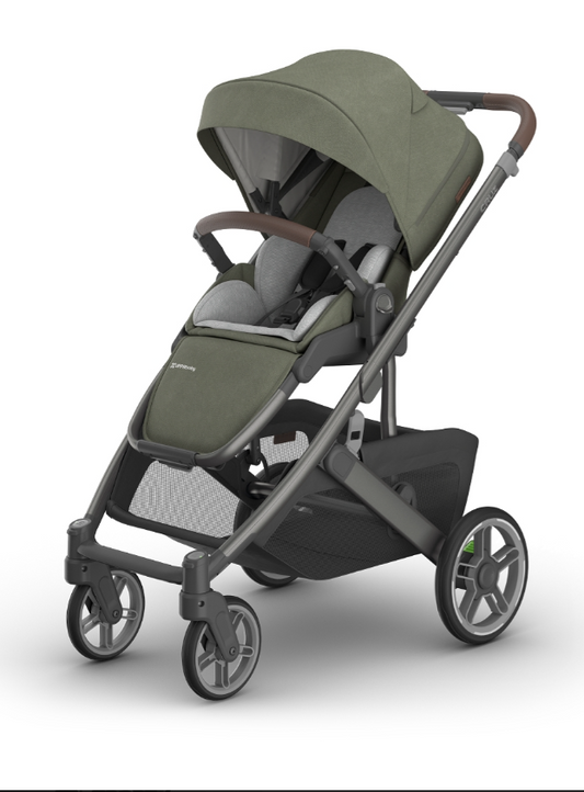 Cruz V3 Duo Evelyn Meadow Green - UPPAbaby