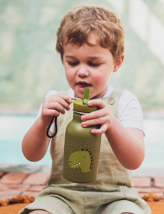 Botella Kids 350ml Mr. Dino - Trixie