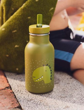 Botella Kids 350ml Mr. Dino - Trixie