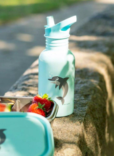 Botella de Acero Steelish Flask Blue 0.5 Litros - Carl Oscar