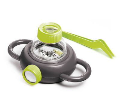 Observatorio de Insectos - Eurekakids