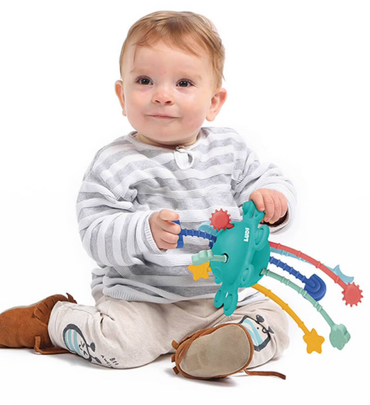 Sonajero Sensorial Ziptoy - Ludi