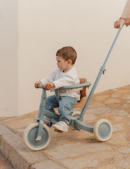 Triciclo con Barra 4 en 1 Safari Dreams - Little Dutch