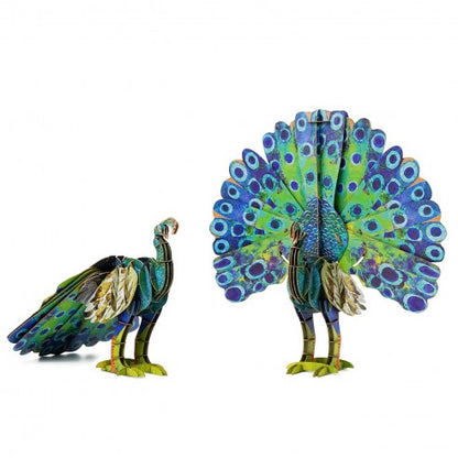 Peacock Puzzle 3D - MierEdu
