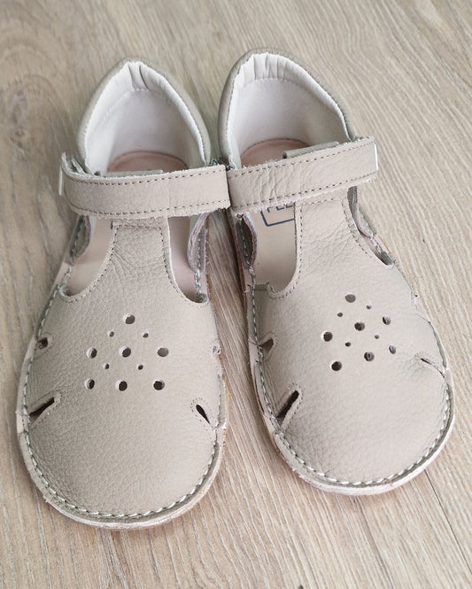 Davinci Dust Arena – Piruflex