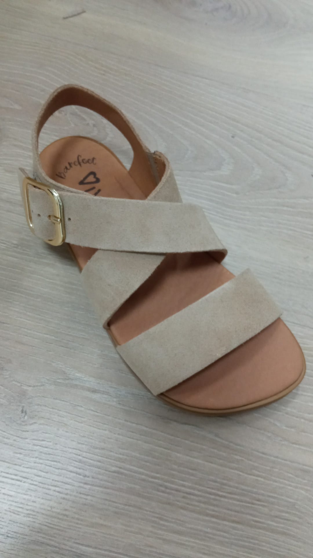 Lino Serraje Camello - Vivant